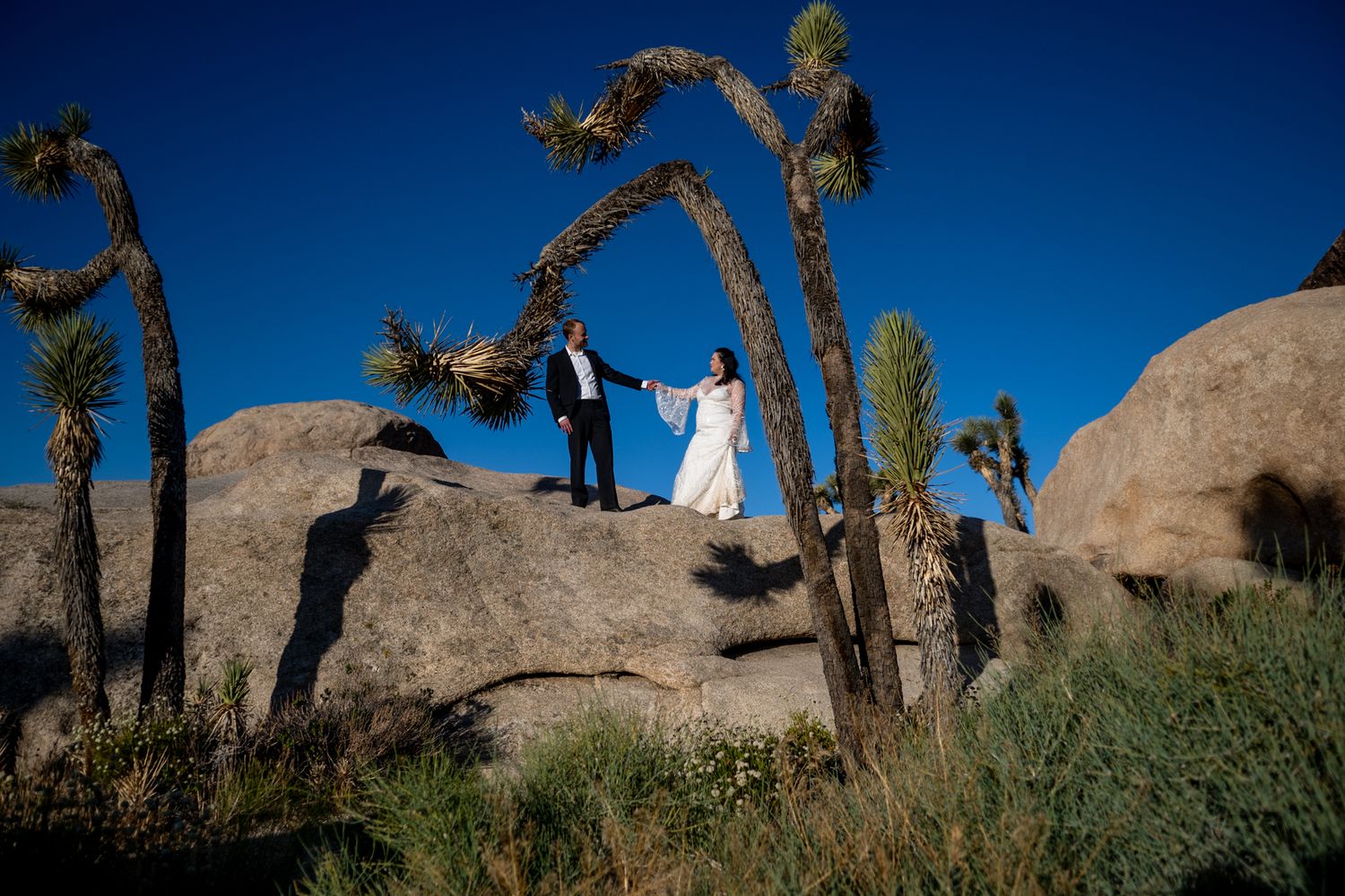 A scenic desert wedding ceremony takes place among tall Joshua trees and large boulders under a bright blue sky.