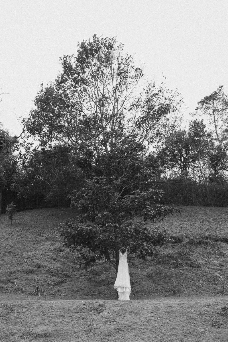 A series of black and white photos showing a figure in white standing on a grassy hillside with trees.