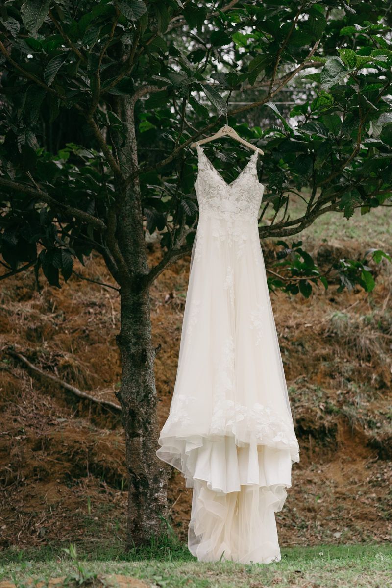 White wedding dress hanging from tree branches in an outdoor setting.
