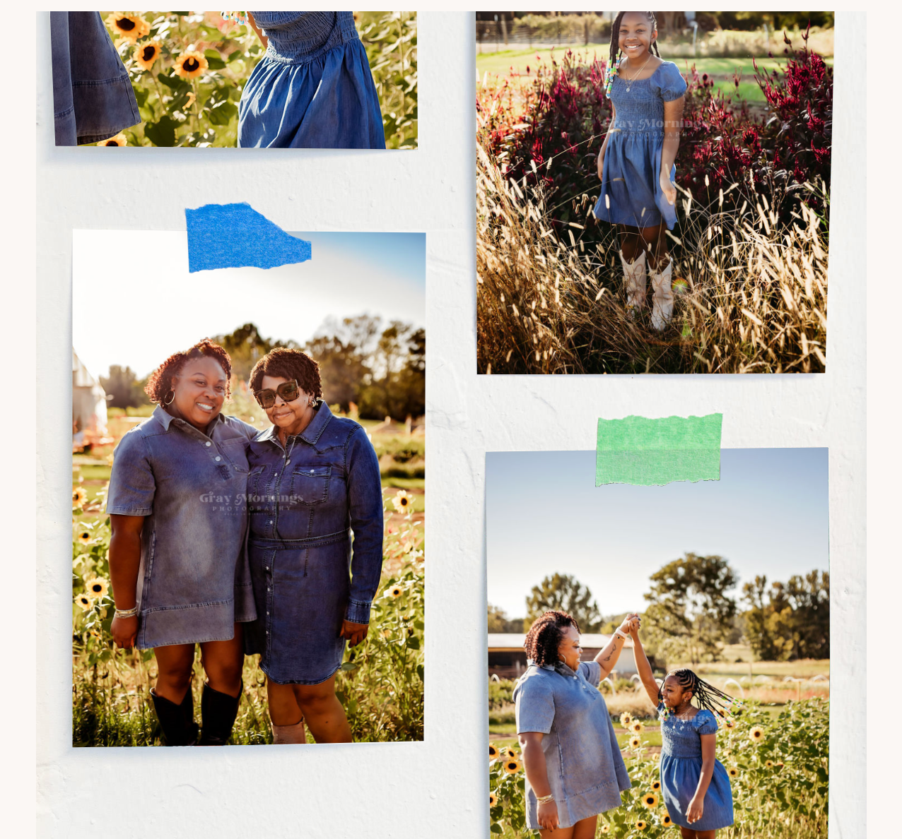 A collection of outdoor family photos featuring sunflowers and autumn scenery during a professional photography session.
