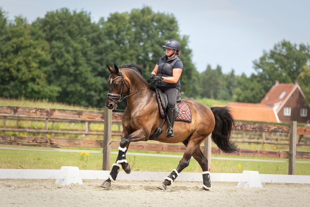 Horse and rider practicing dressage movements in outdoor arena with white markers.