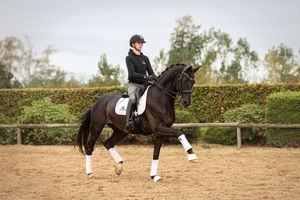 Horse and rider performing dressage movements in sandy arena.