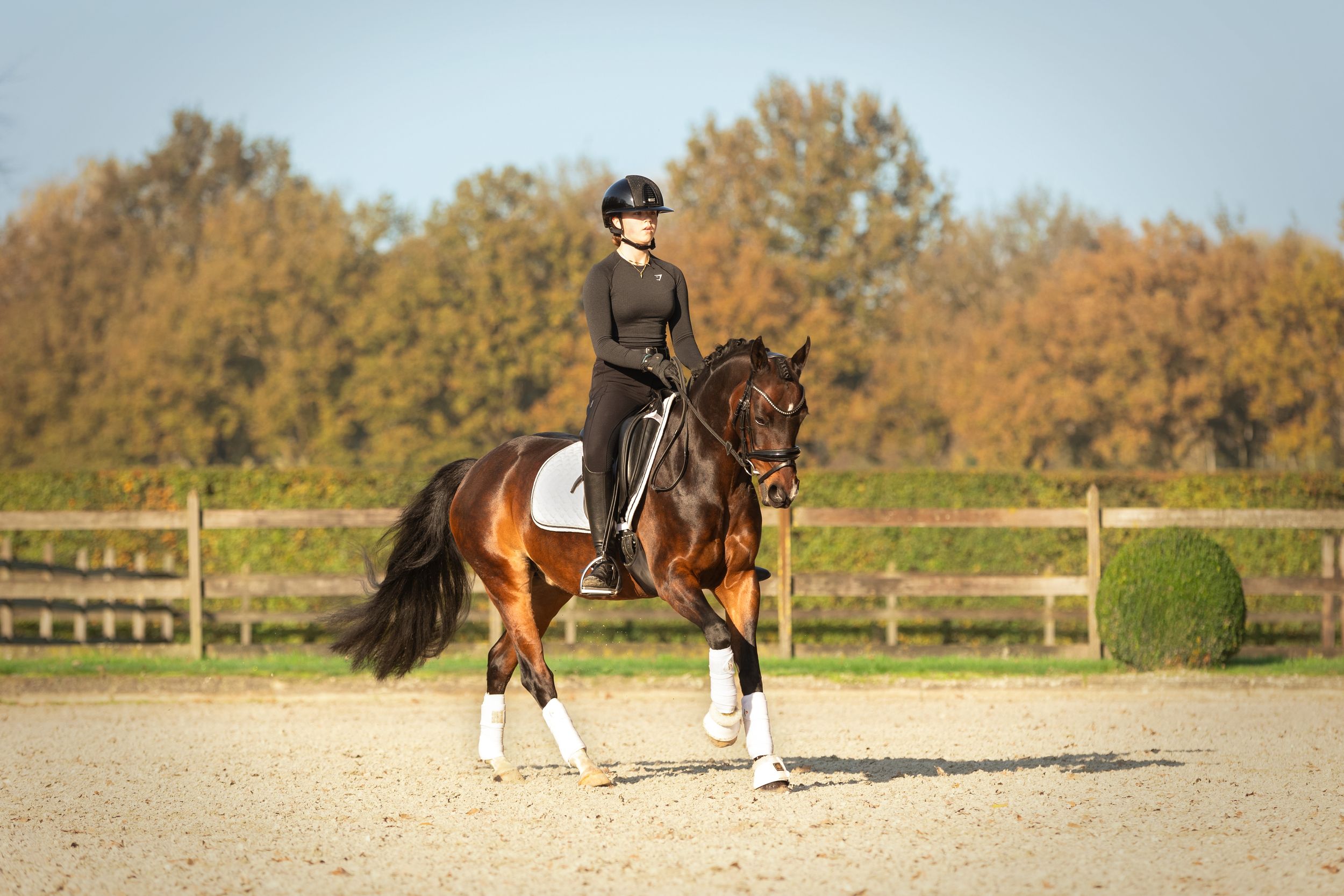 Horse and rider practicing dressage movements in an outdoor arena during autumn.