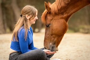 Person bonding with chestnut horse in natural outdoor setting.