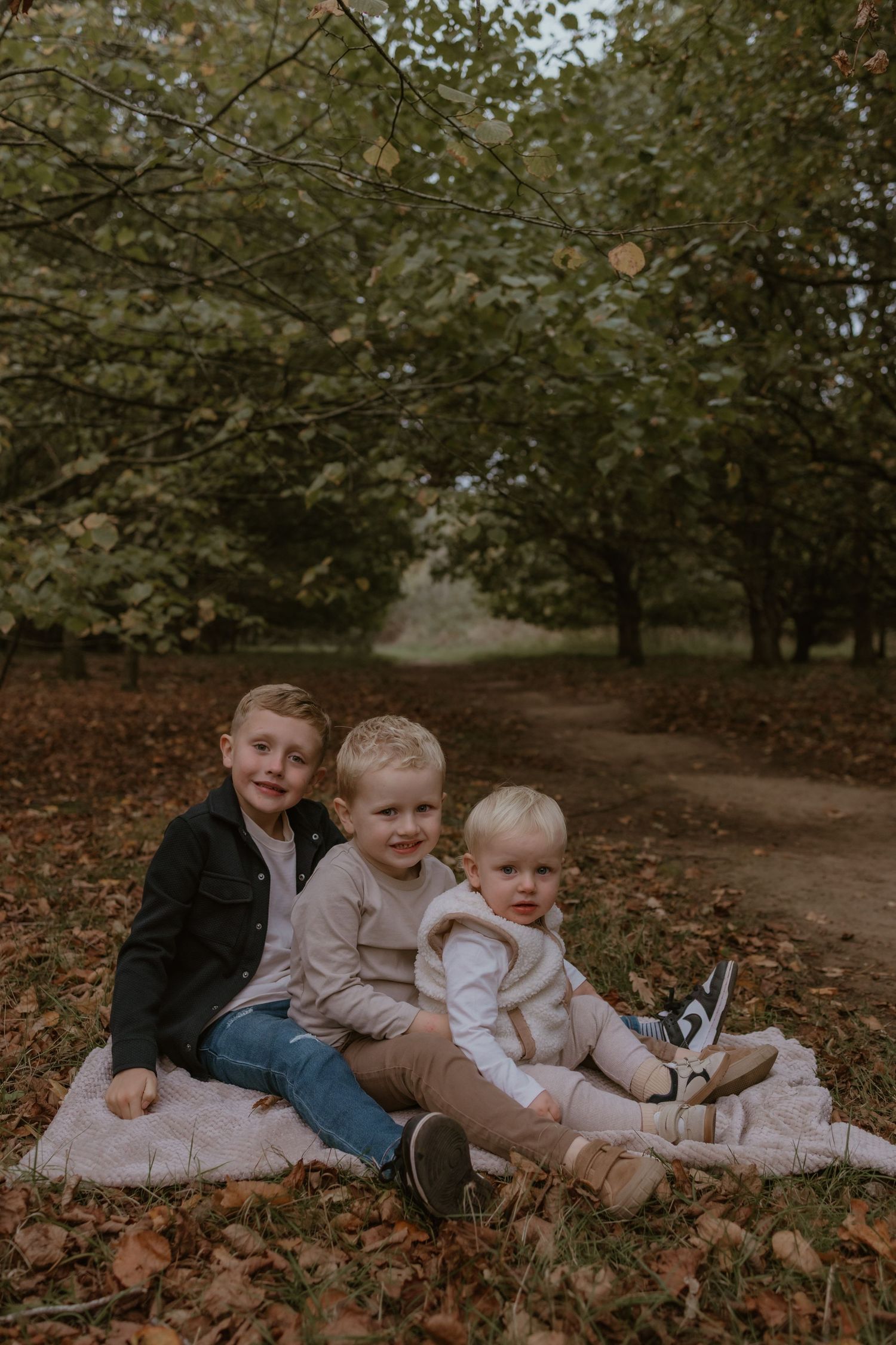Three brothers sitting together in fallen autumn leaves in the woodlands.