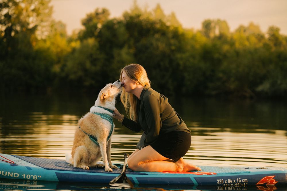 Mensch&Hund Shooting an einem Hundeweiher auf einem SUP-Board zum Sonnenaufgang bei Straubing, Niederbayern