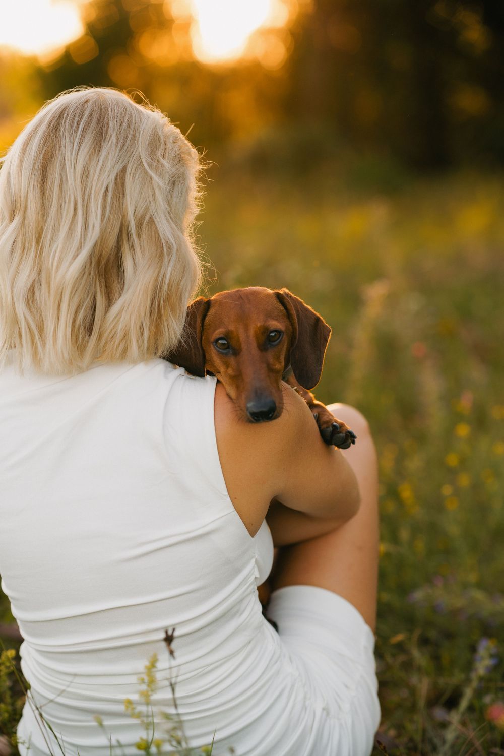 Mensch-Hunde-Shooting mit einem Dackel und seiner Besitzerin auf einer Wildblumenwiese im Landkreis Dingolfing-Landau, Niederbayern