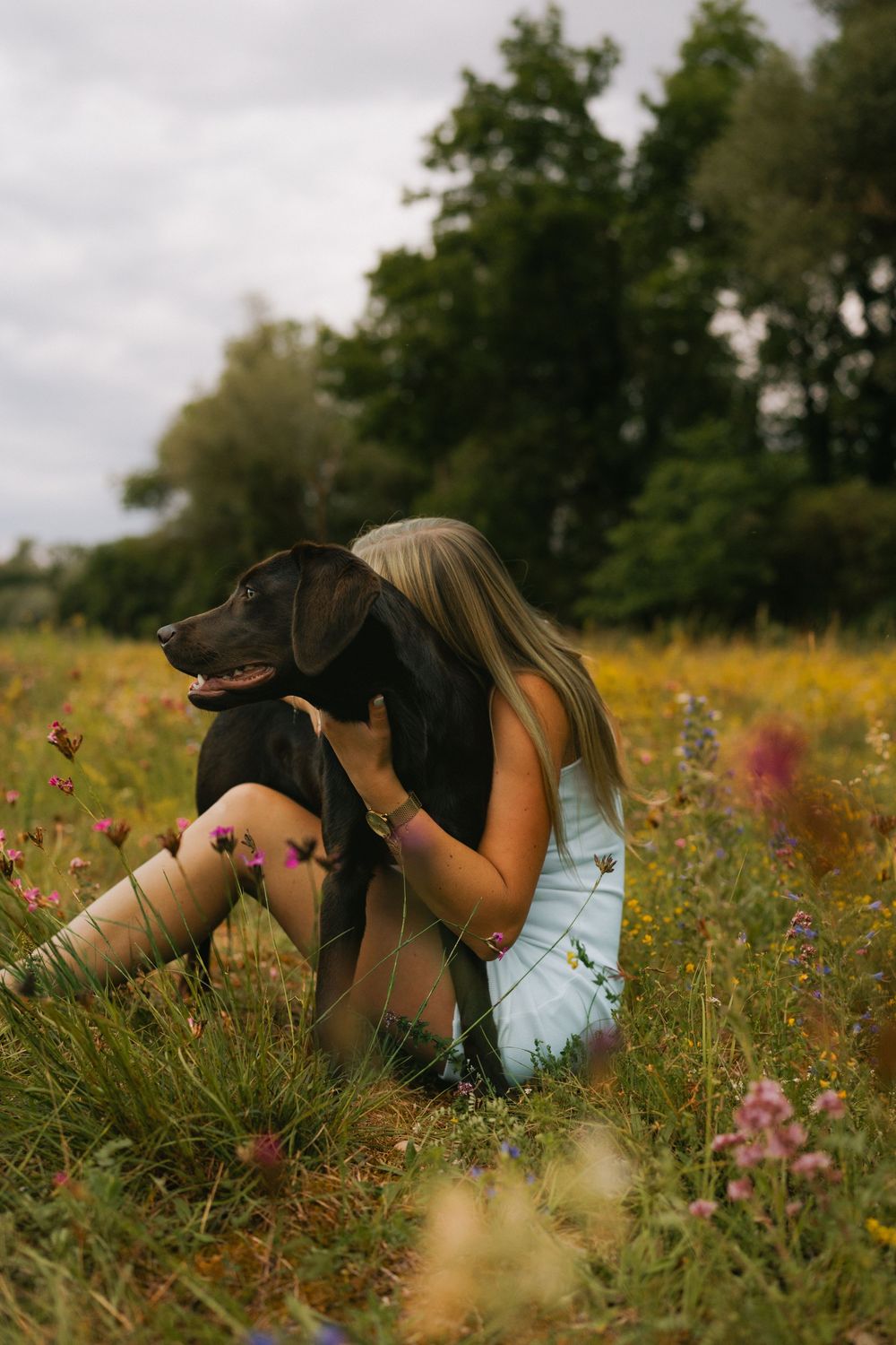 Mensch-Hunde-Shooting mit einem braunen Labrador und seiner Besitzerin in einer Wildblumenwiese in Niederbayern