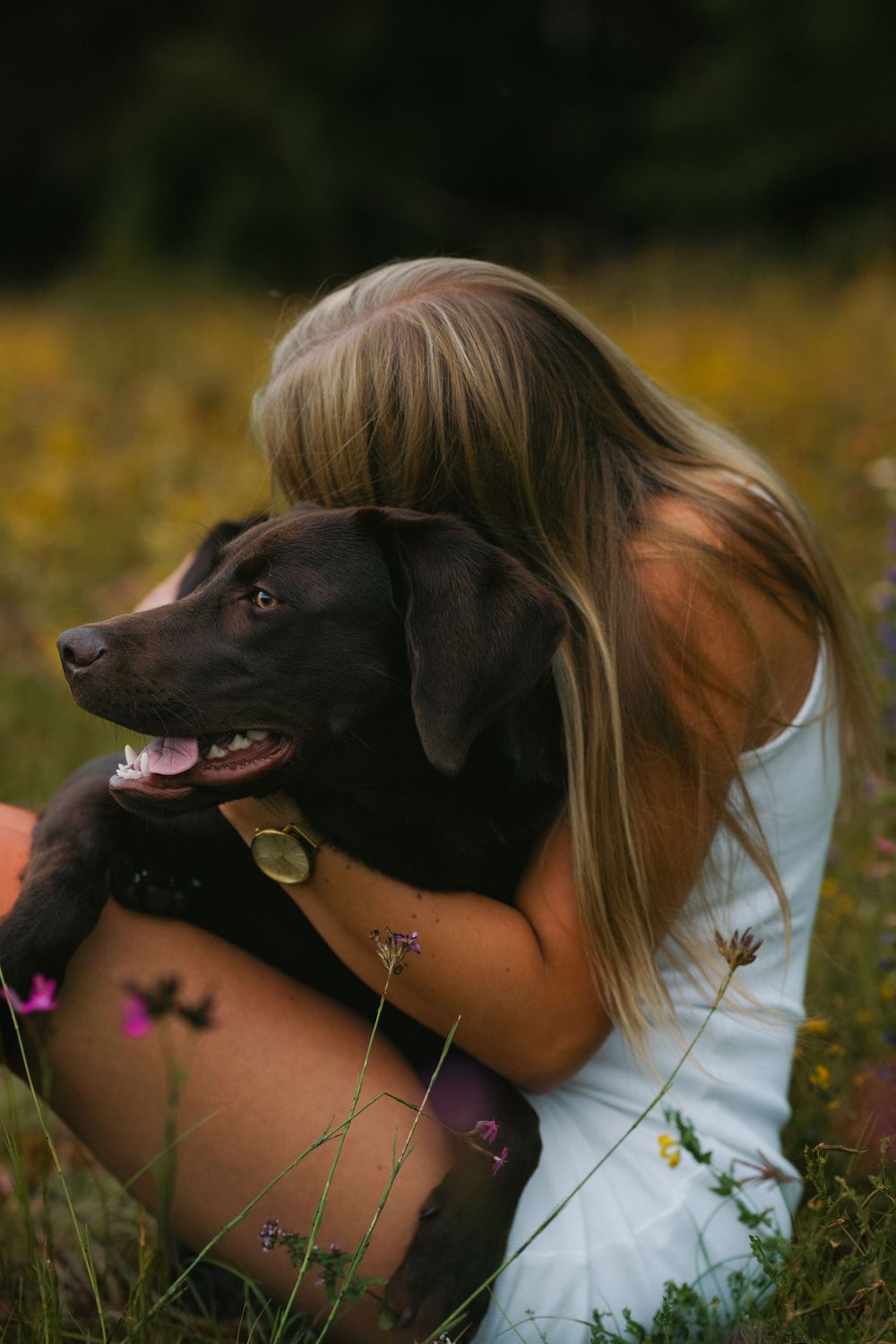 Mensch-Hunde-Shooting mit einem braunen Labrador und seiner Besitzerin in einer Wildblumenwiese in Niederbayern