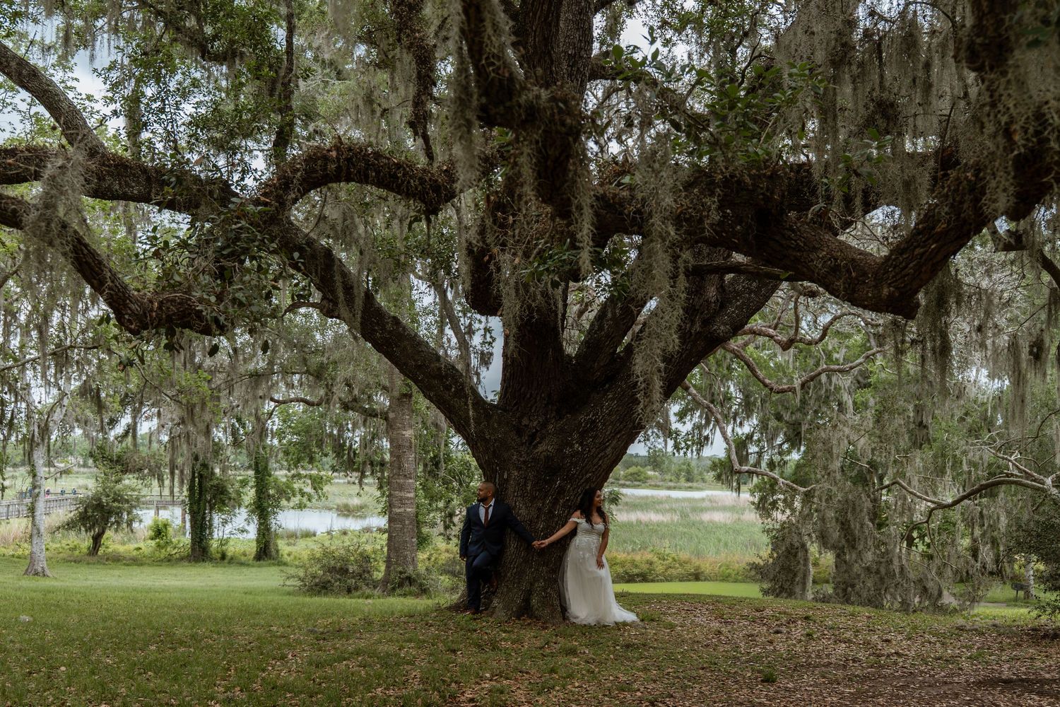 Bride and groom stand beneath a massive moss-draped live oak tree by a serene lake on their wedding day.