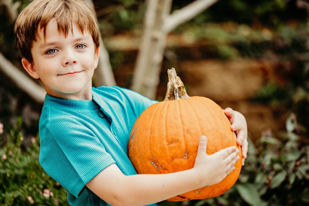 A young child in a teal shirt holds a bright orange pumpkin outdoors on an autumn day.