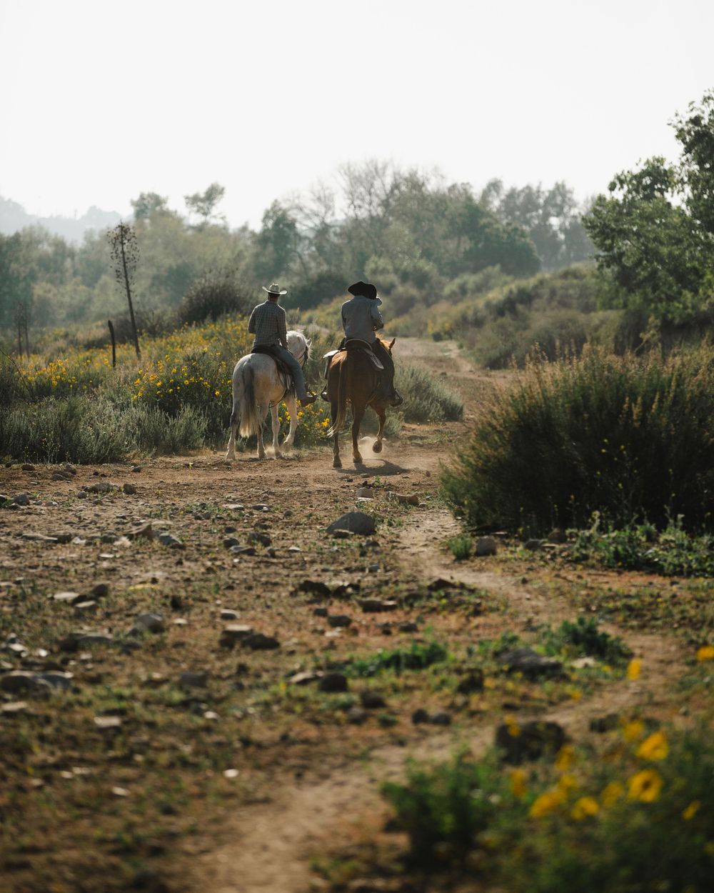 Two horseback riders follow a dusty trail through a rugged desert landscape with scattered wildflowers and shrubs.