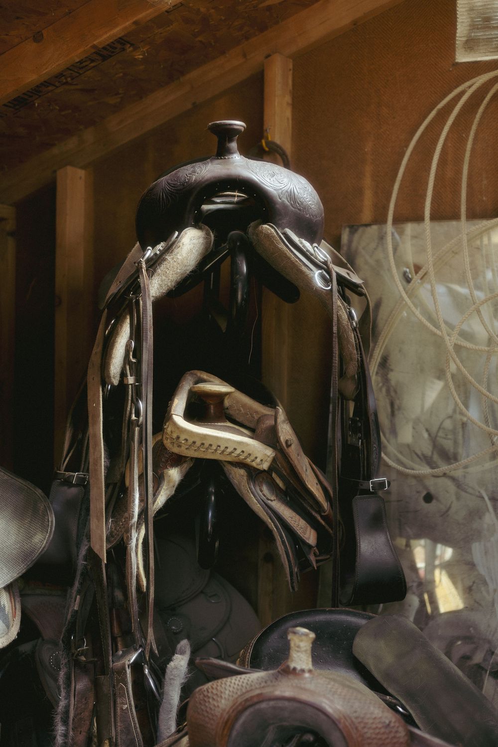 Multiple leather horse saddles hanging on wooden racks in a dimly lit stable.