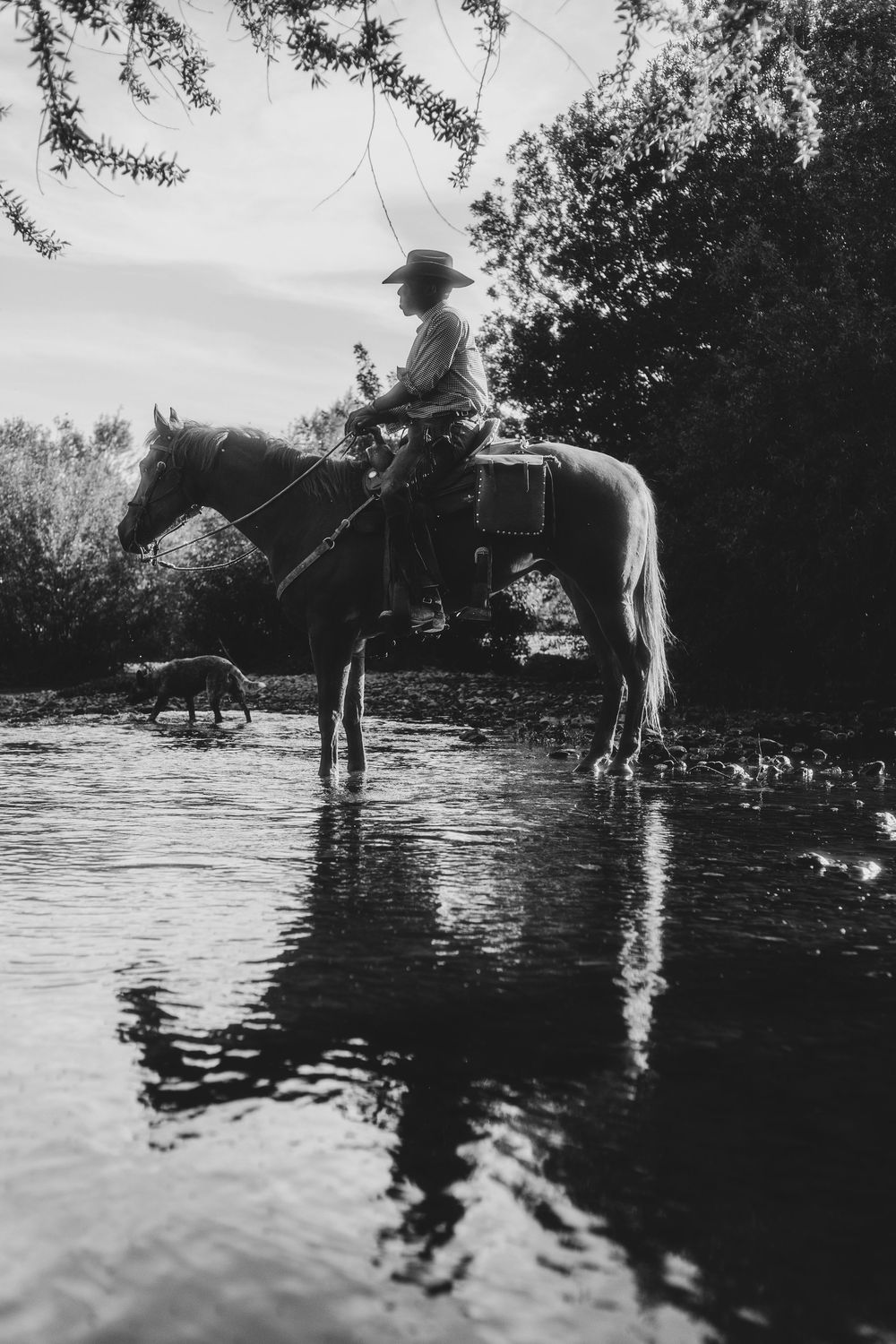 People on horseback wading through reflective water while fishing.