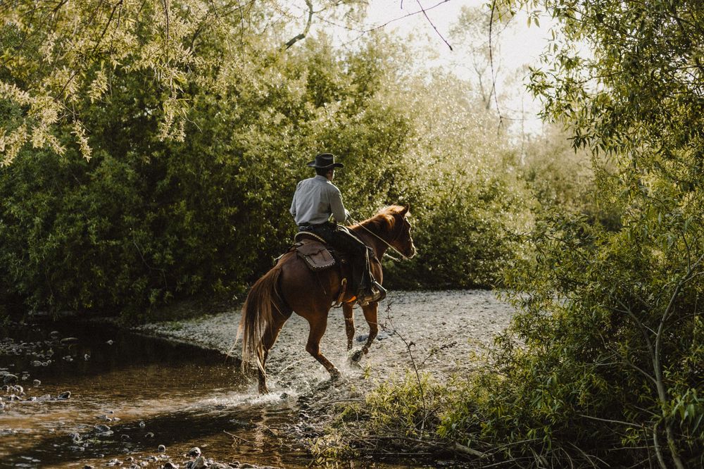 A scenic view of horses and riders traversing a sunlit wooded trail.