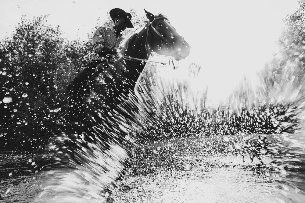 Black and white action shot of a surfer carving through a wave with dramatic water spray in silhouette.