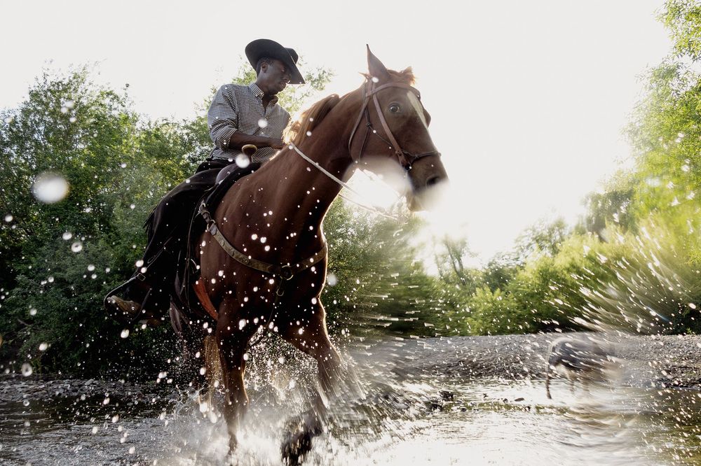 Horse and rider splashing through shallow water creating dramatic spray in sunlit outdoor setting.