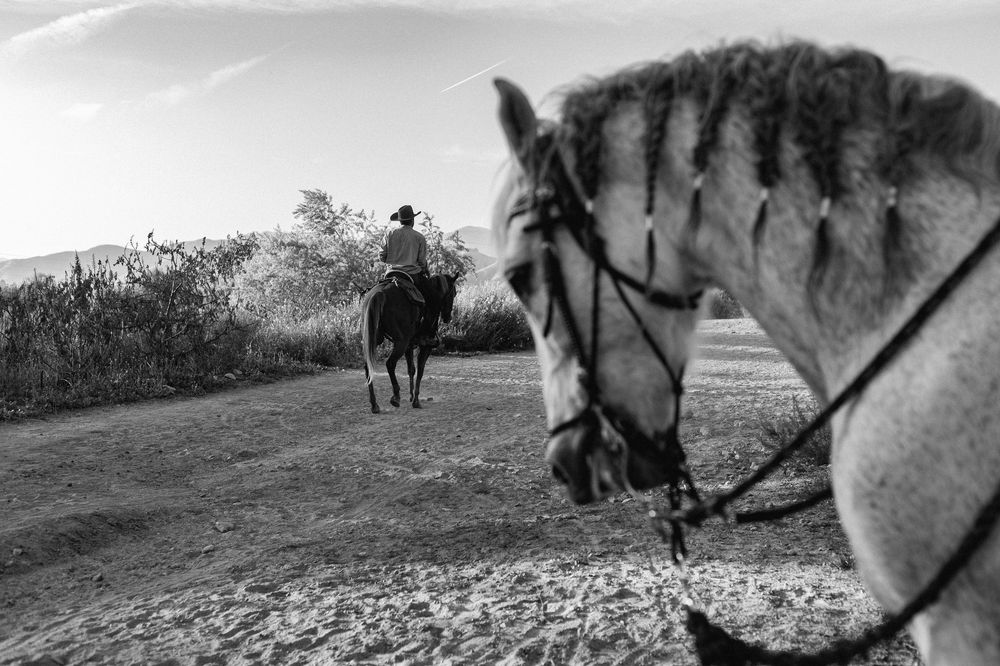 Riders on horseback navigate a rocky desert terrain under bright sunlight.
