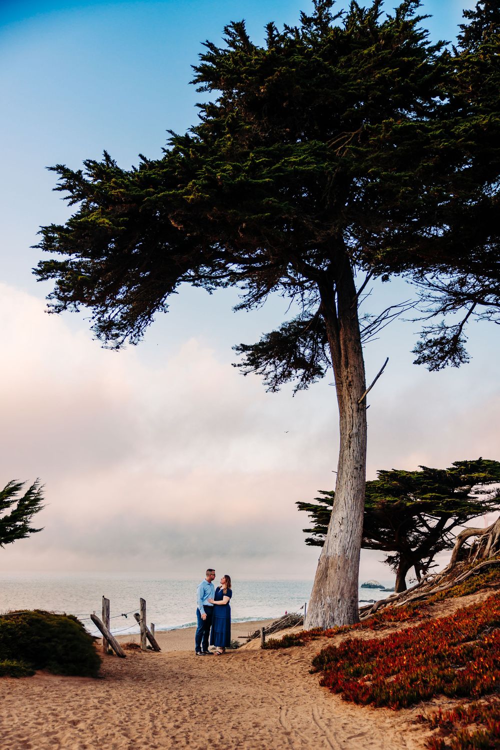 Cypress trees frame couple on coastal trail overlooking Pacific Ocean during sunset.