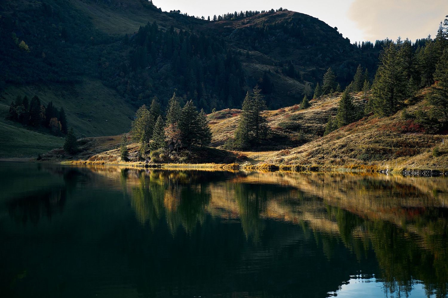 A serene mountain lake reflects the surrounding evergreen forest and hills during golden hour.