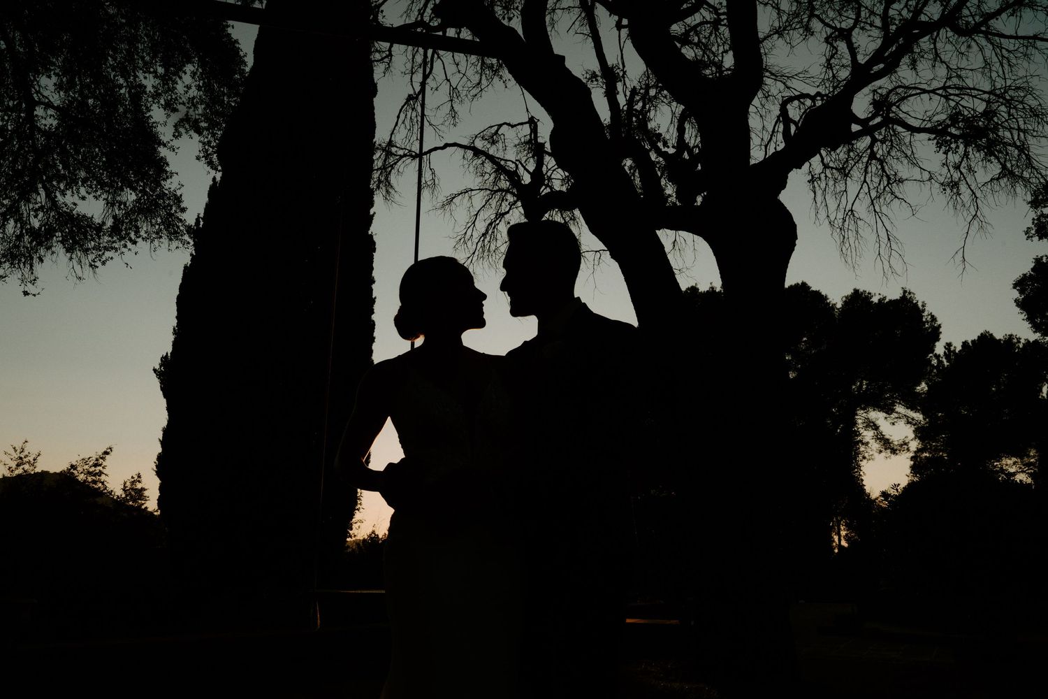 Silhouetted couple against a dusky sky with tree branches creating a dramatic backdrop.