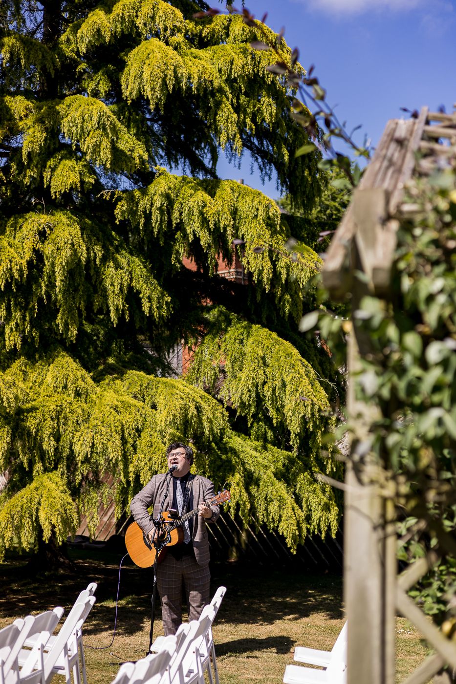 Yellow weeping willow tree creates a natural backdrop for outdoor wedding seating.