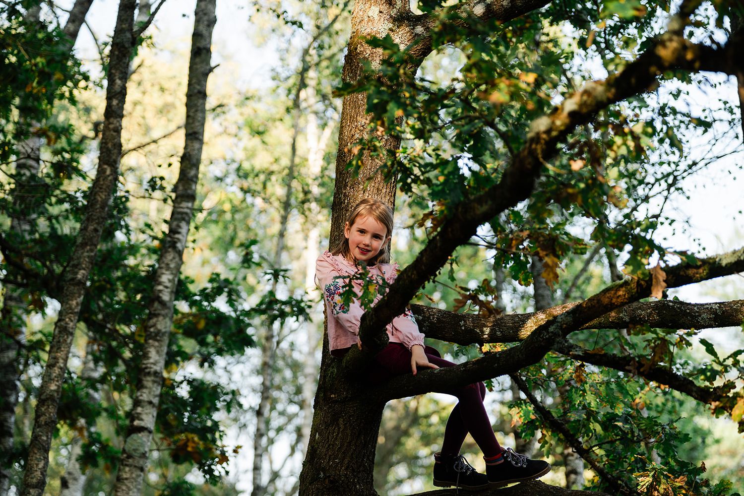 A sequence of photos shows someone climbing up a large tree in an outdoor setting.