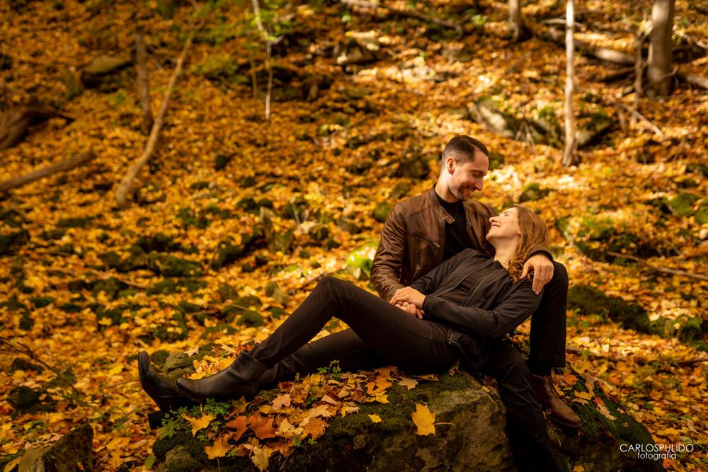 A romantic autumn portrait session on moss-Wedding photography at Waterfalls Dundas, Hamilton — storytelling by Toronto & Hamilton wedding