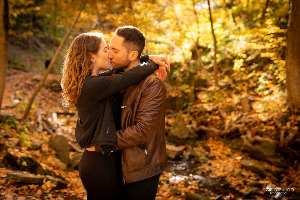 Wedding photography at Waterfalls Dundas, Hamilton — storytelling by Toronto & Hamilton wedding photographers.