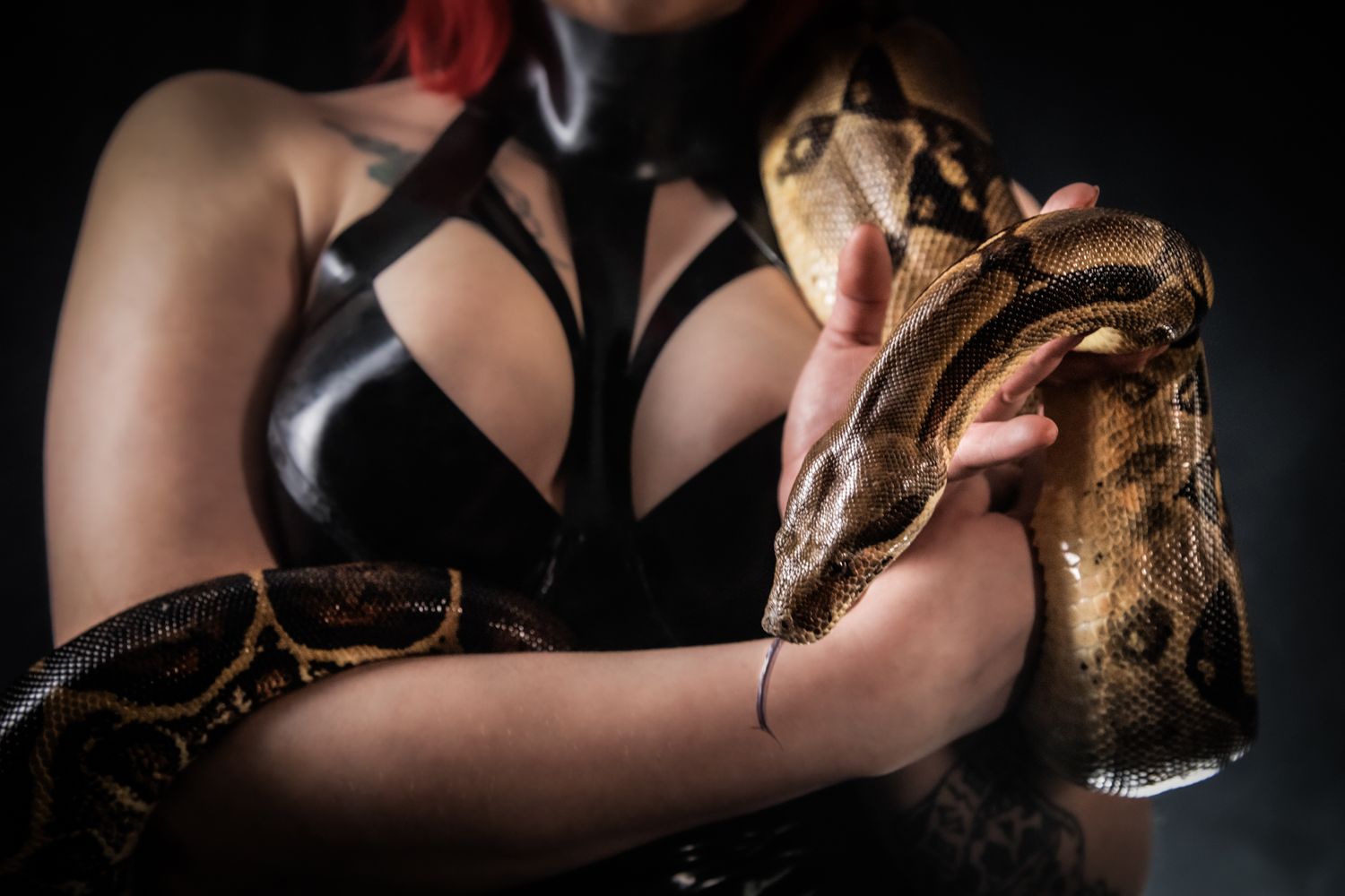 Dark portrait featuring person in black holding large snake against dark background.
