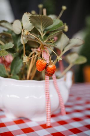 Fresh strawberries in white bowl on red checkered tablecloth with gingham ribbon decoration.