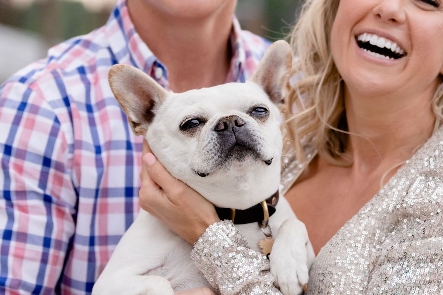 Happy couple posing with their white French Bulldog during engagement photos.