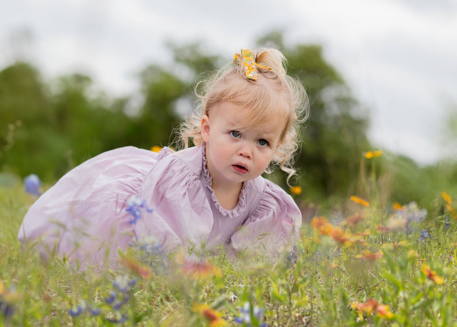 A child wearing a pink dress crawls through a beautiful wildflower meadow on a sunny spring day. Brushy Creek Bluebonnet Mini Session TX