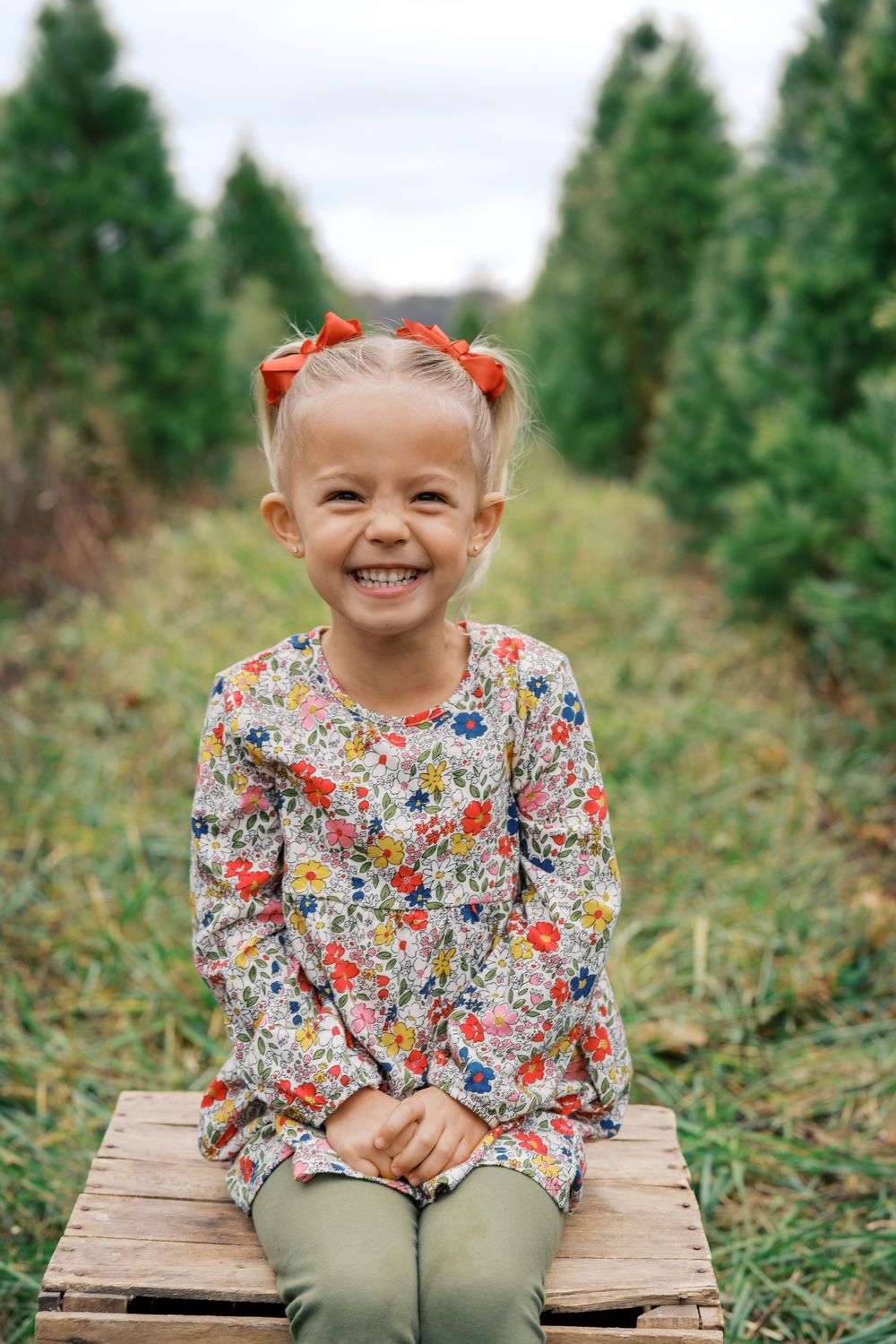 Young child in floral dress sitting on wooden crate at Christmas tree farm.