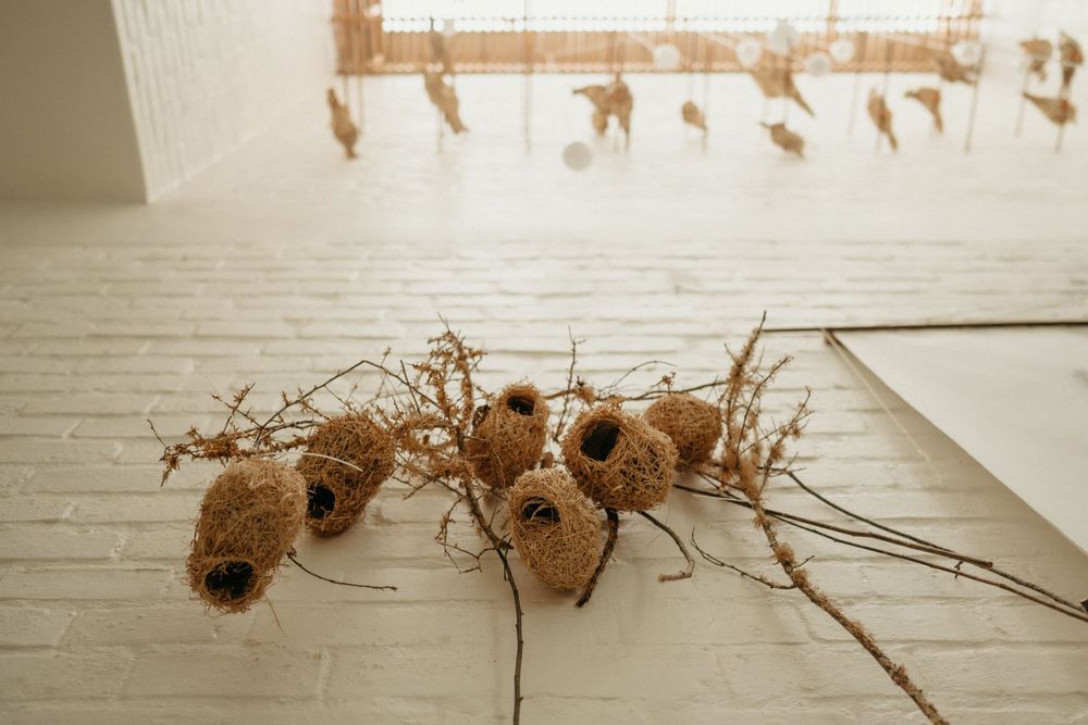 Decorative dried flowers and natural elements arranged on a light wooden floor.