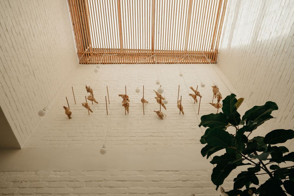 Dried flowers arranged artistically in a wooden frame against a white wall with a tropical plant in corner.