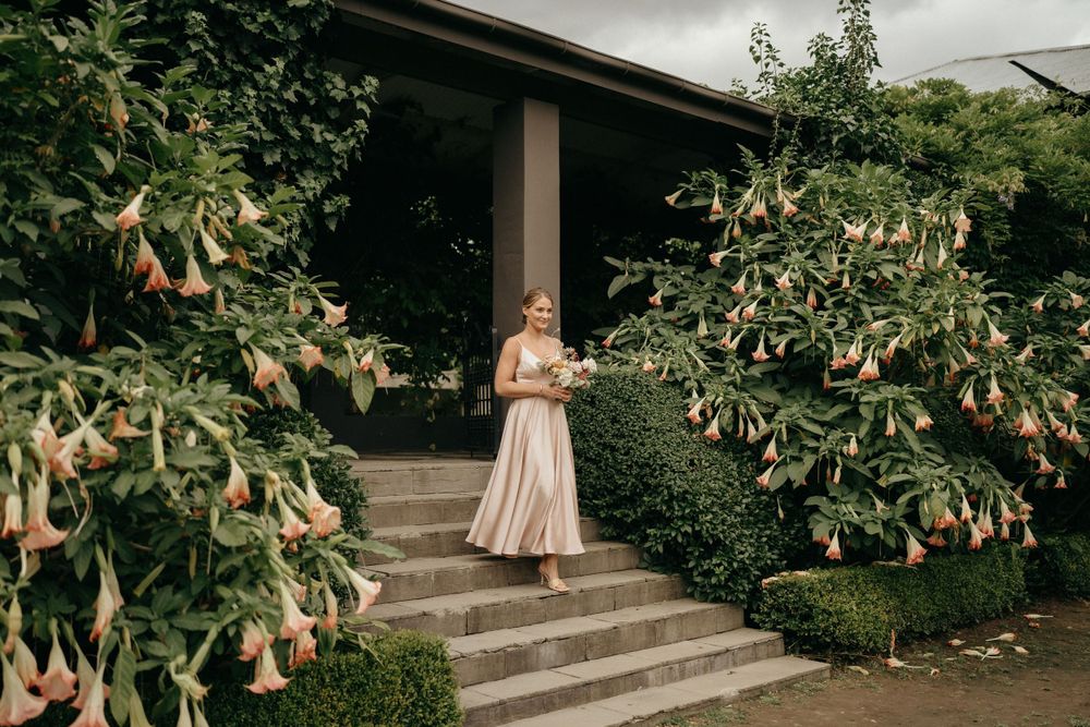 A figure stands on stone steps between blooming angel trumpet trees in a garden setting at dusk.