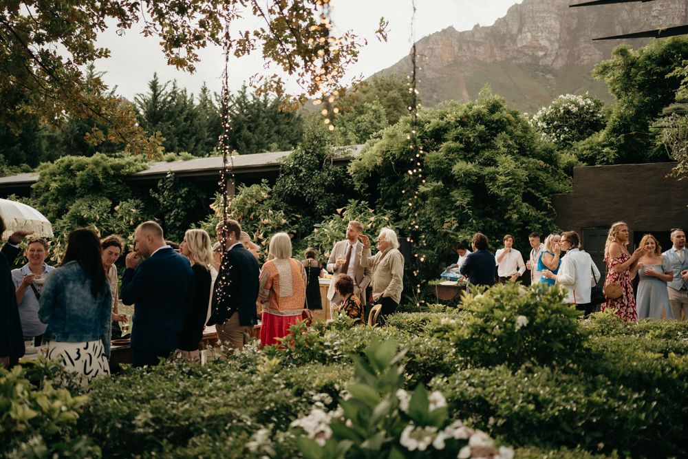 Wedding reception guests mingling in lush garden setting with mountain backdrop.