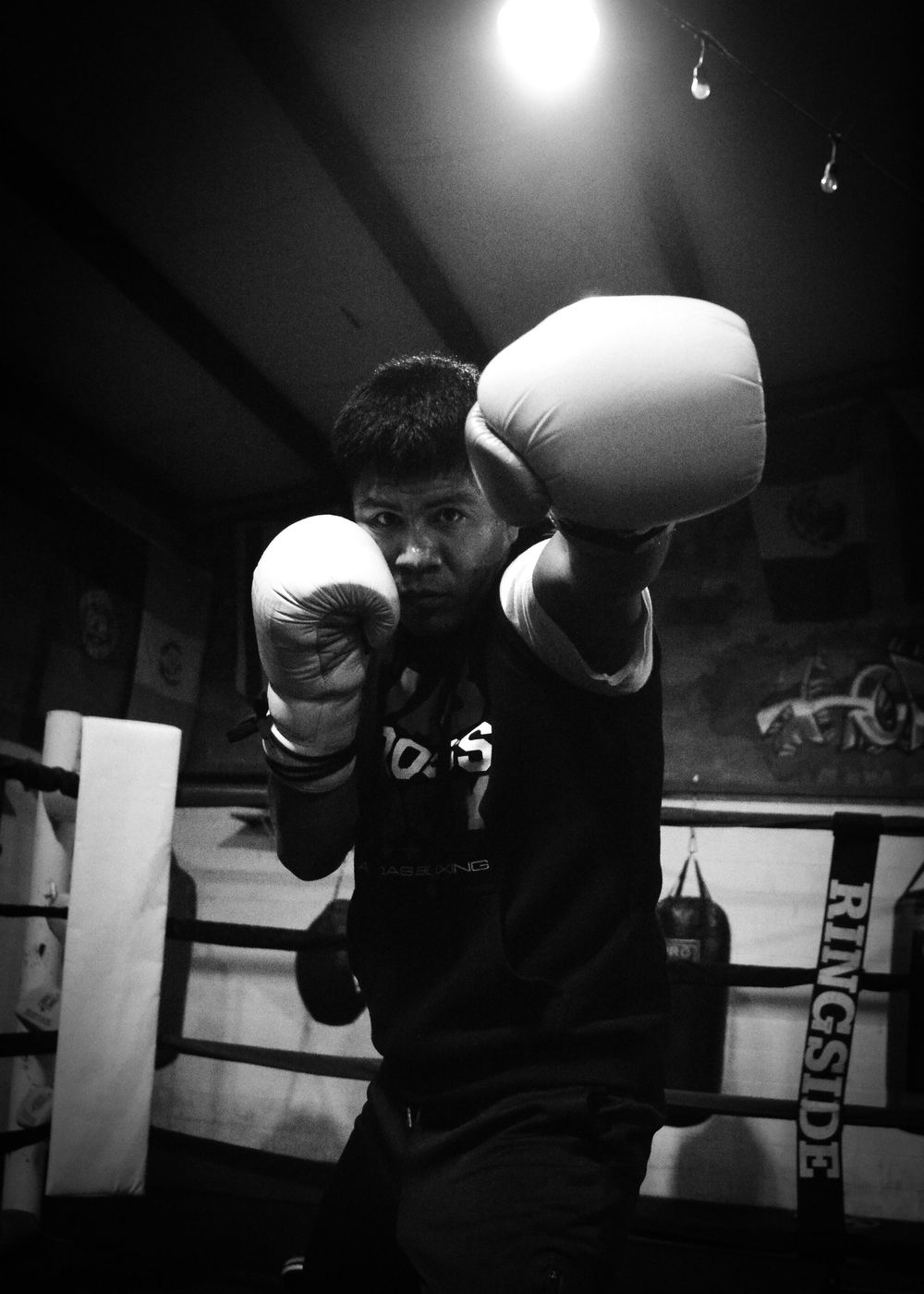 Boxer