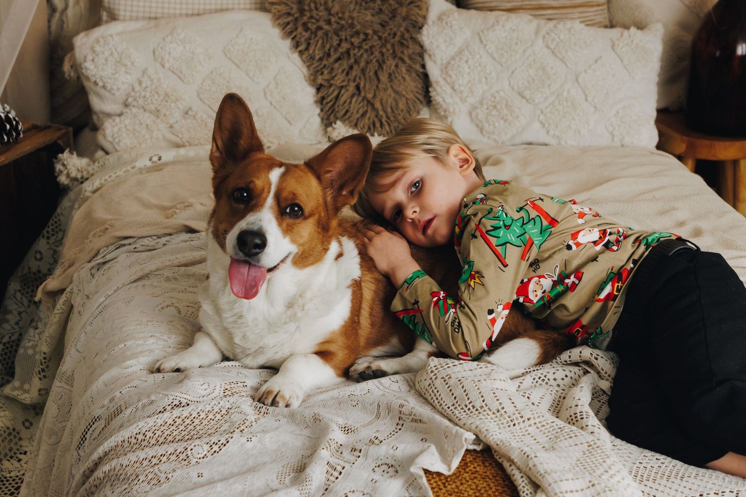 A corgi dog and person cuddle together comfortably on a white bed with soft blankets and pillows.