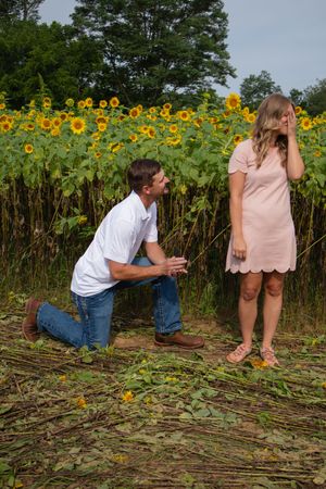A surprise proposal moment unfolds in sequence against a backdrop of bright sunflowers.