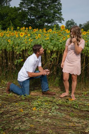A romantic proposal sequence captured in front of a field of tall sunflowers.