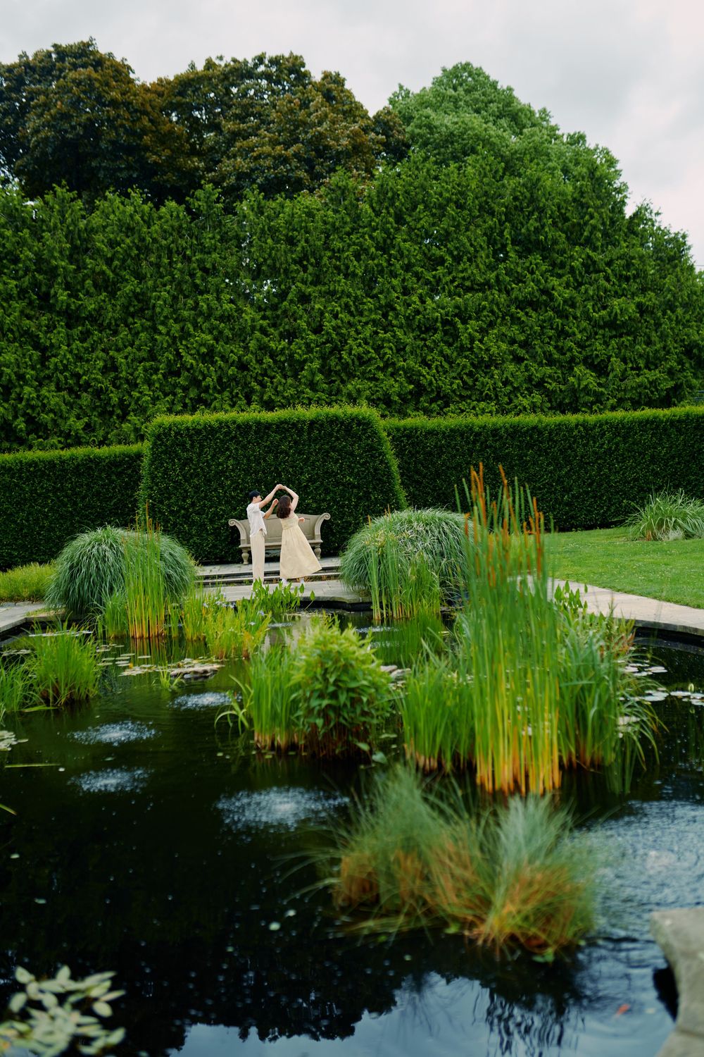 A tranquil garden pond with reeds and ornamental grasses surrounded by manicured hedges and a white bench in the background.