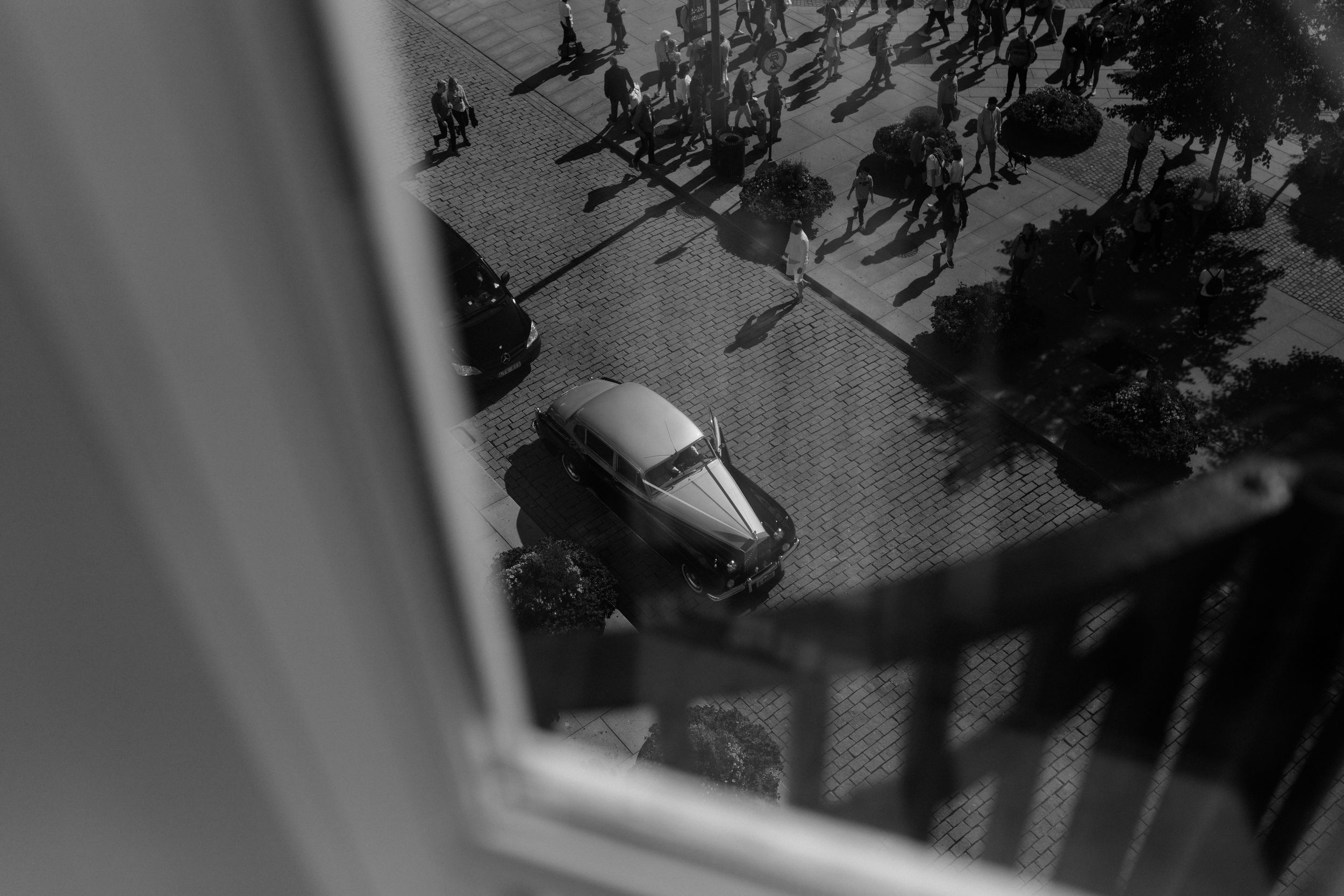 Vintage black and white photograph of classic cars parked along a tree-lined street.