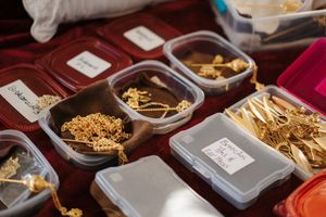 Various traditional Chinese dried herbs and medicinal ingredients displayed in brown ceramic bowls at an herbal shop.