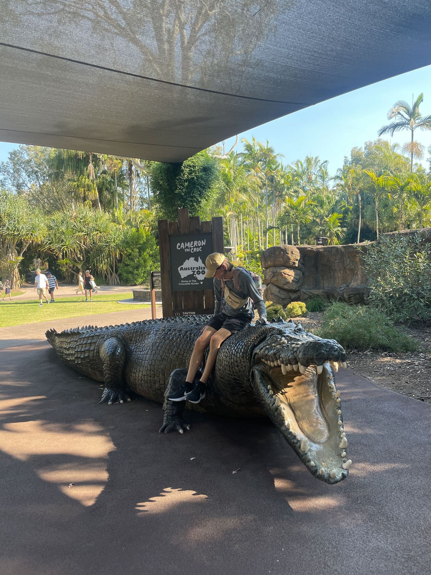 A decorative alligator statue outdoors serves as a fun photo opportunity display along a shaded pathway.
