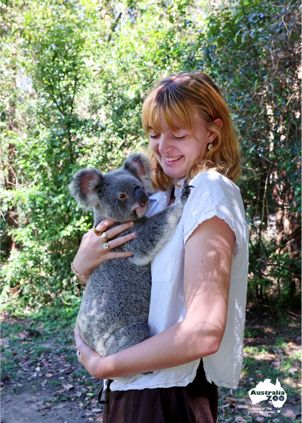 A cuddly koala bear being held outdoors while surrounded by lush green foliage in an Australian sanctuary.