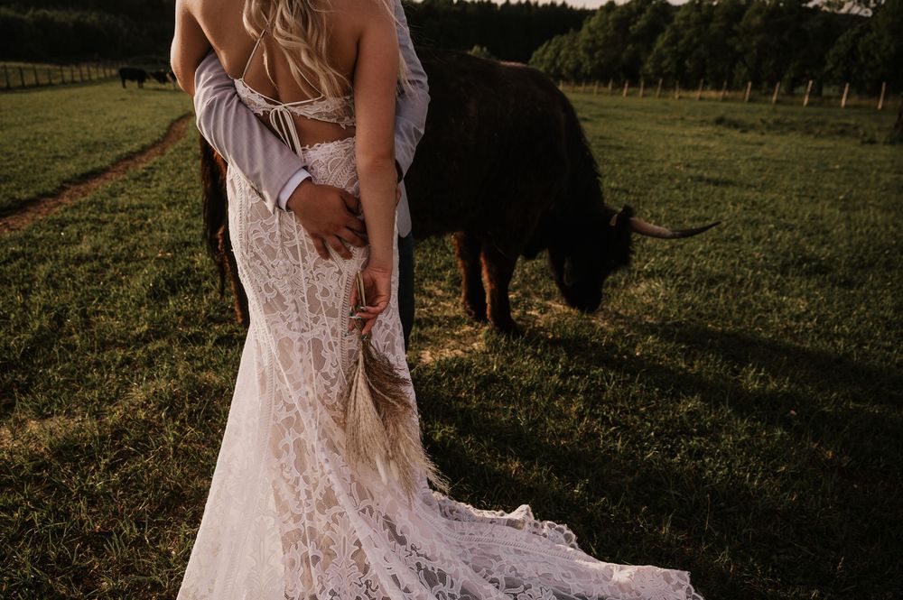 A wedding couple stands in a golden field at sunset as their white horse grazes behind them.