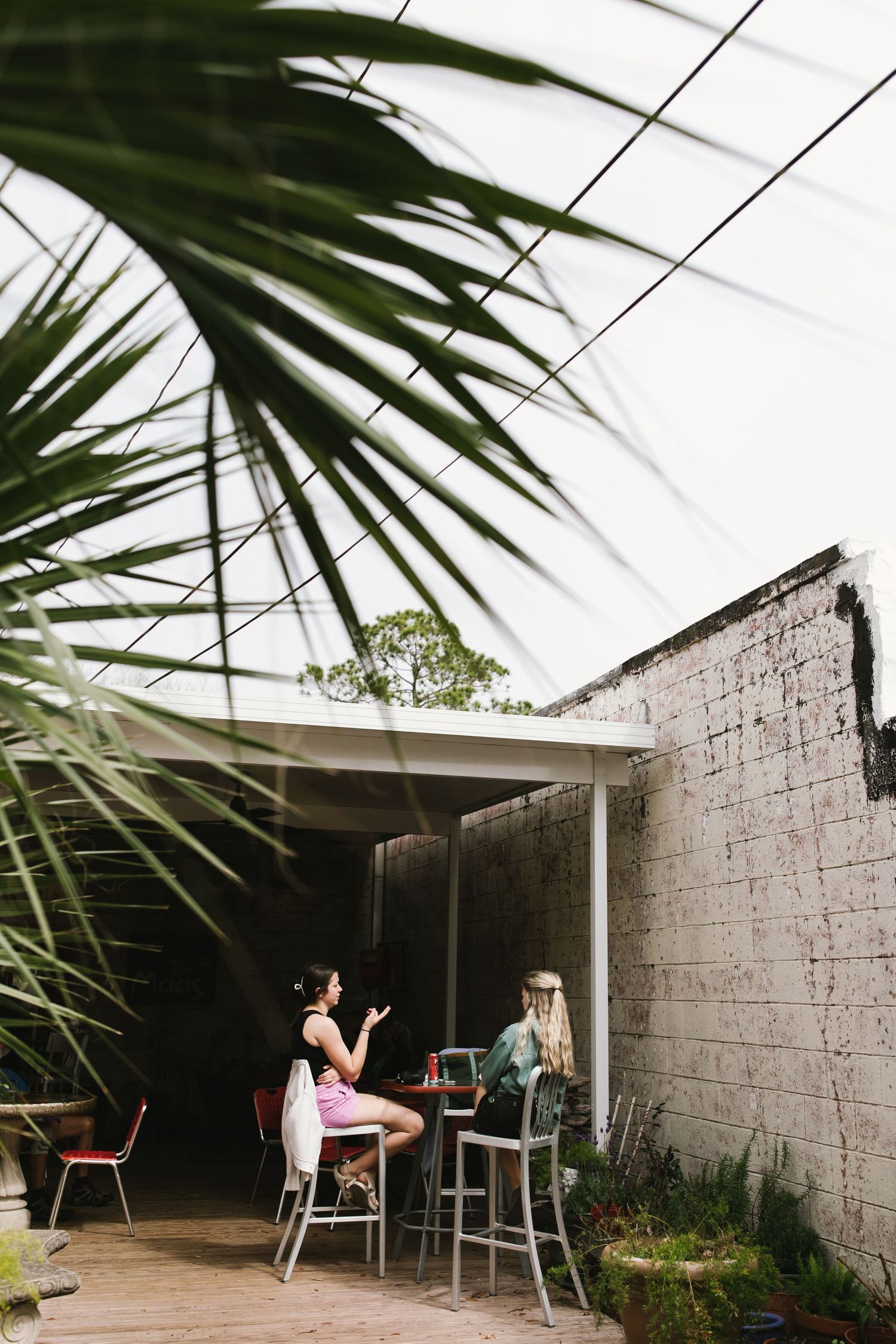 Two people chat at an outdoor patio table under a palm frond.