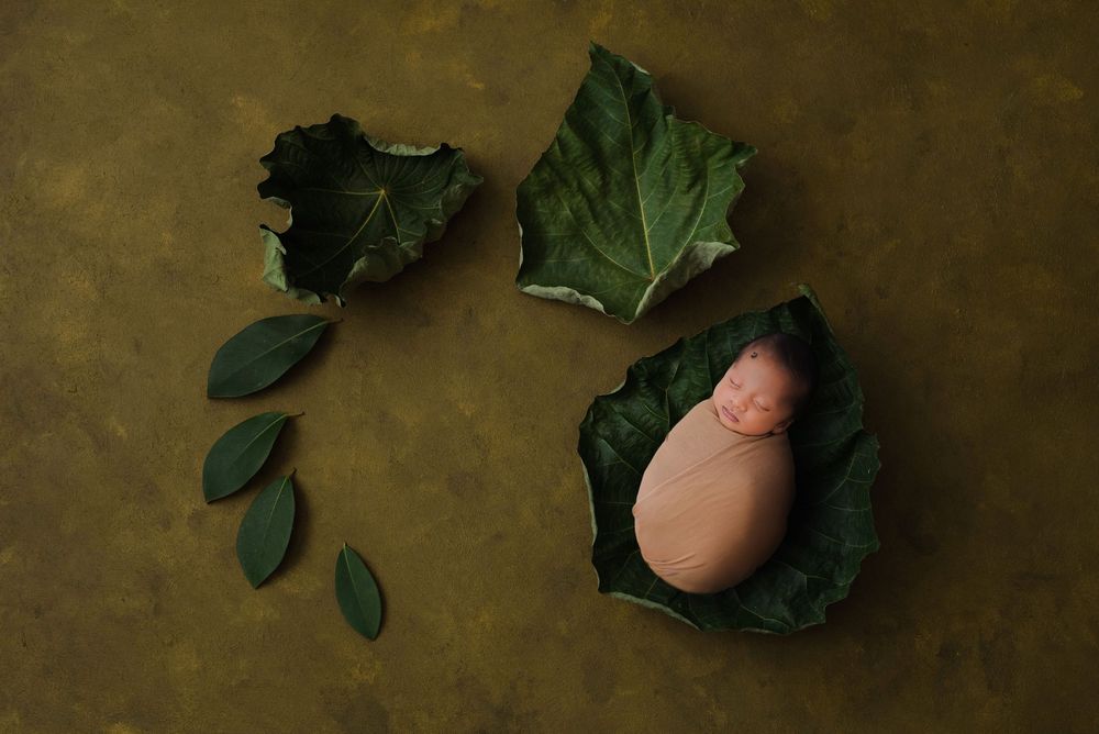 Newborn Session